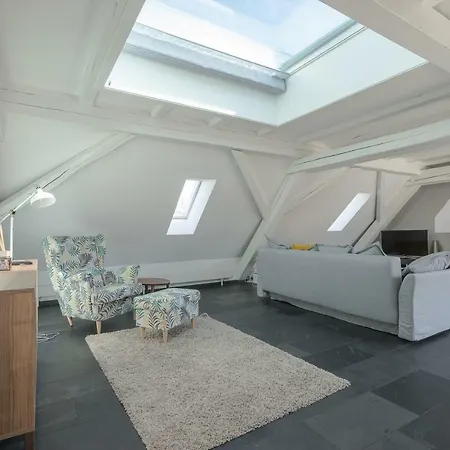 Apartment Big At Main Station Zurich